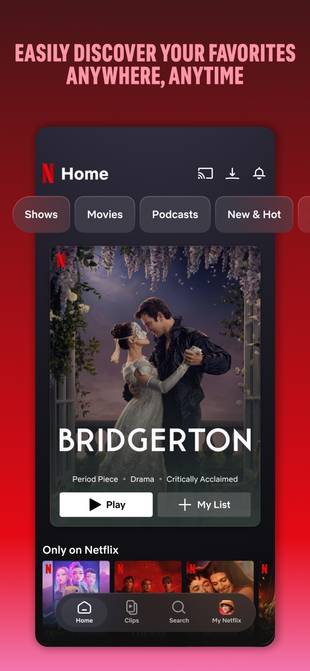 Netflix · iPhone screenshot preview